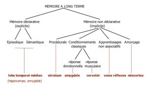 mémoire implicite