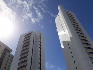 Adopté de Recife Brésil