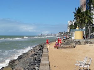 Adopté Recife Brésil