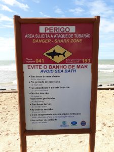 Adopté Recife Brésil