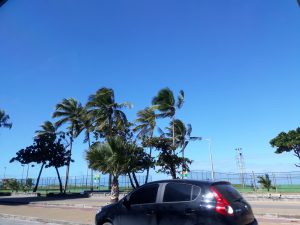 Adopté Joao Pessoa Brésil