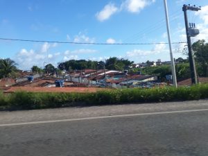 Adopté Joao Pessoa Brésil