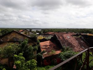 Adopté Joao Pessoa Brésil