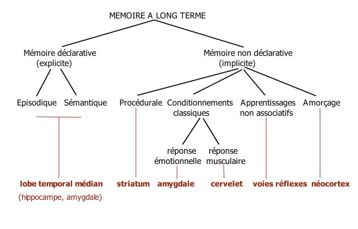 mémoire implicite
