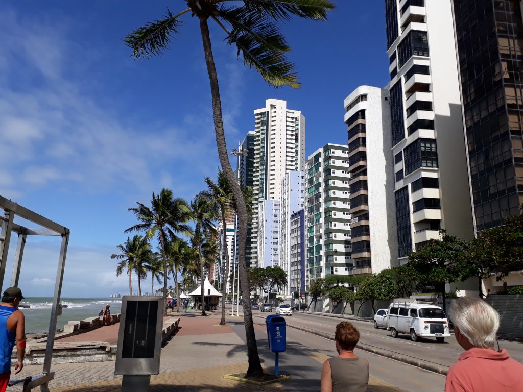 Adopté Recife Brésil