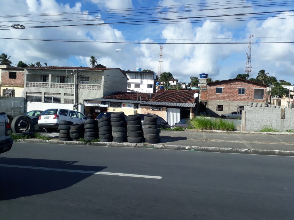 Adopté Joao Pessoa Brésil