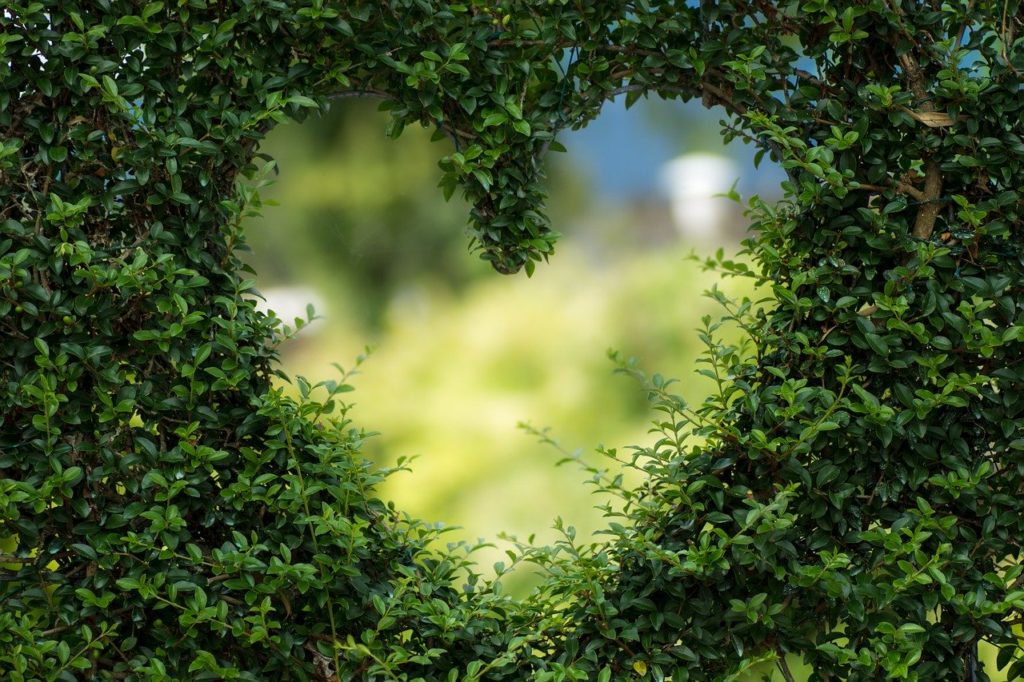 amour de soi