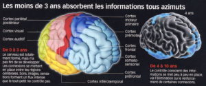 adopté mémoire