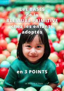Couv eBook blessure primitive chez les enfants adoptés